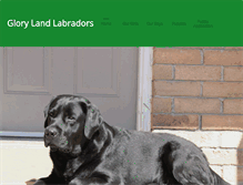 Tablet Screenshot of glorylandlabradors.com